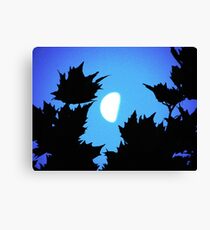 Vignette Canvas Print