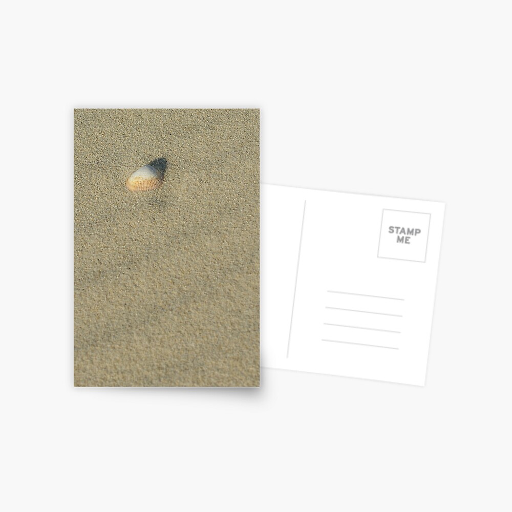 shell Postcard
