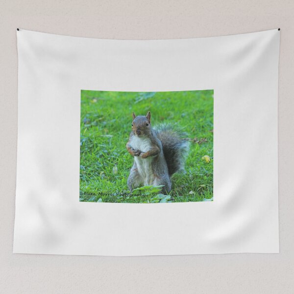 Item preview, Grey Squirrel designed and sold by ellenmpics.