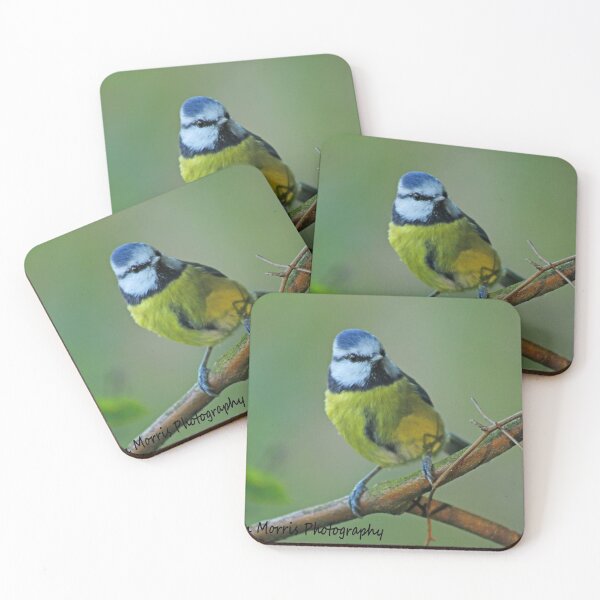 Item preview, Blue Tit designed and sold by ellenmpics.