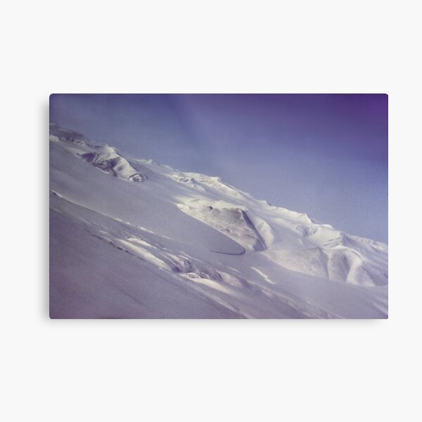 Flying up north Metal Print