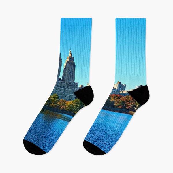 Artikelvorschau, Blick auf den Central Park entworfen und verkauft von 00Flyer.