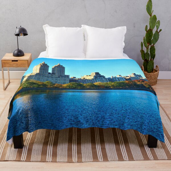 Item preview, Central Park View designed and sold by 00Flyer.