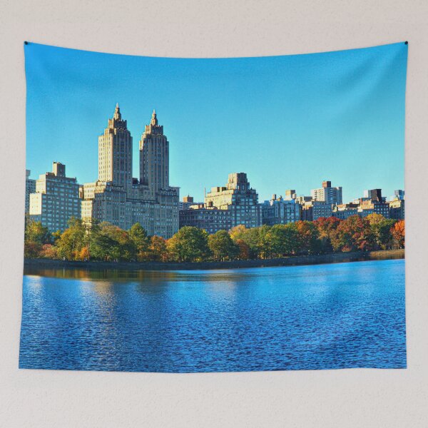 Item preview, Central Park View designed and sold by 00Flyer.