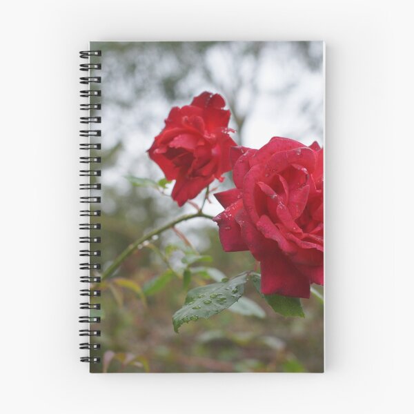 Item preview, Rose and raindrops designed and sold by DiplodocusOne.