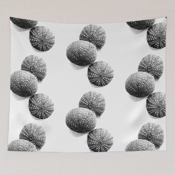 Item preview, Sea Urchin's  designed and sold by Diane Arndt.