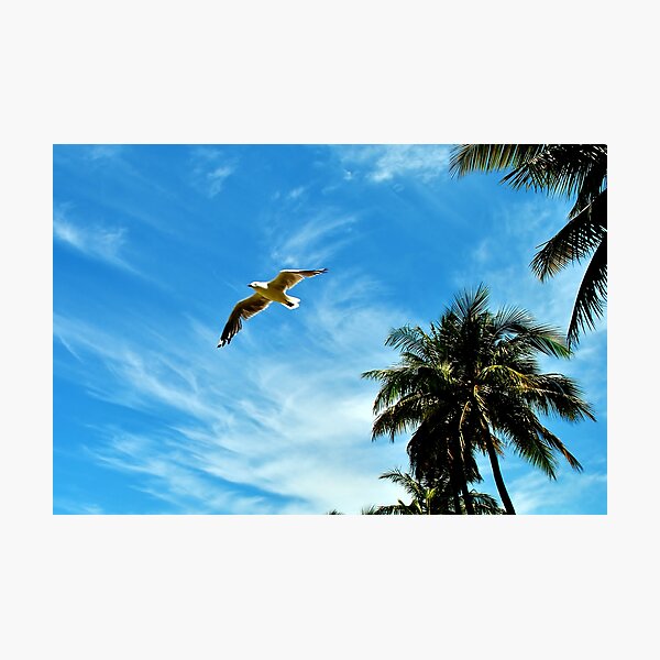 Item preview, Bird at Flight designed and sold by Heather Butler.