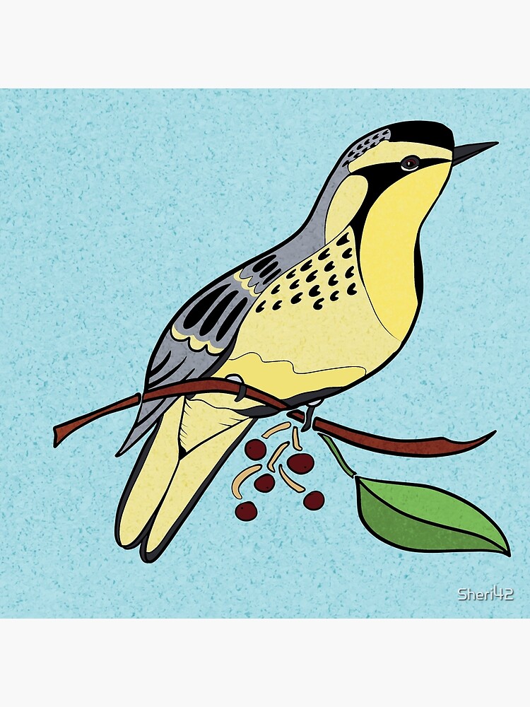 Yellow Bird Yellow-Throated Warbler Songbird 4 of 9 by Sheri42