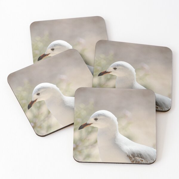 Item preview, Seeing the Beauty in a Seagull designed and sold by imaginethis.
