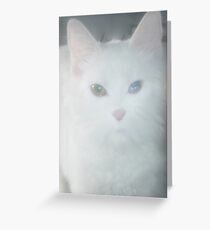PRECIOUS MY LITTLE BABY !! Greeting Card