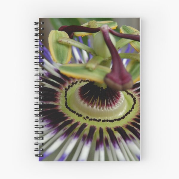 Item preview, PassionFlower designed and sold by Janone.