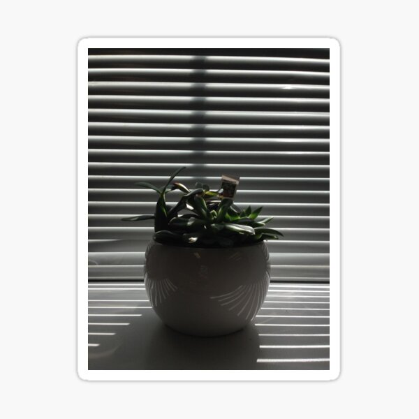 Succulent with Shadows Sticker