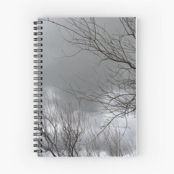 Item preview, There’s Beauty In Barren designed and sold by Yvonne  Diaz.