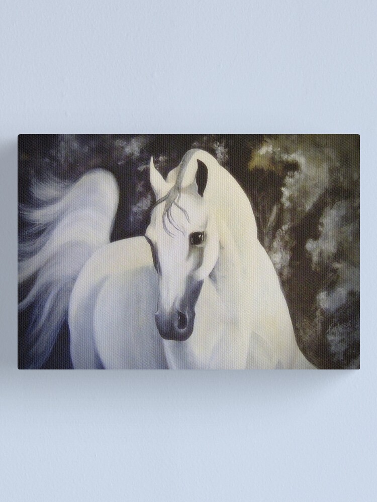 Alternate view of Amarath Bandelero Canvas Print