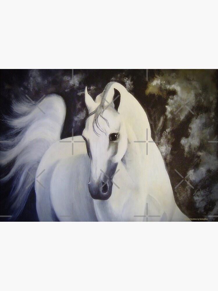 Amarath Bandelero by KarleighBon