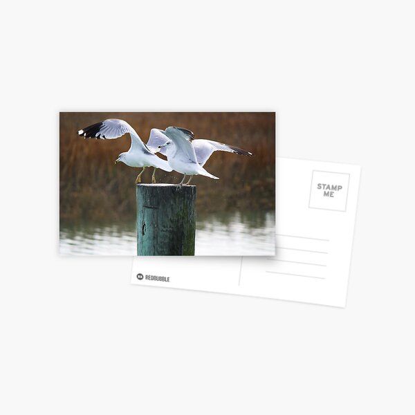 Item preview, Get Off designed and sold by Paulette1021.
