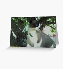 Bird watching Greeting Card