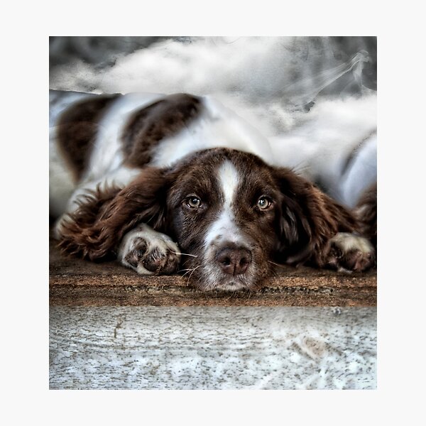 Head in the clouds Photographic Print