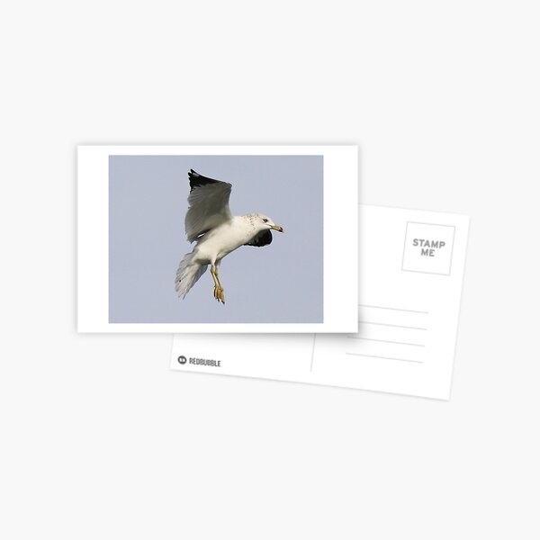 Item preview, Gull designed and sold by Paulette1021.