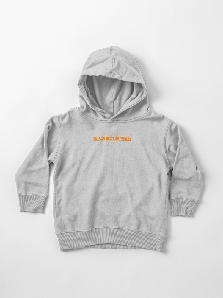 napapijri grey hoodie