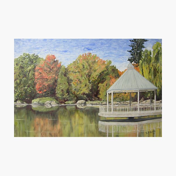 Milton Millpond in Autumn - (c) Ian Ridpath 2011 Photographic Print