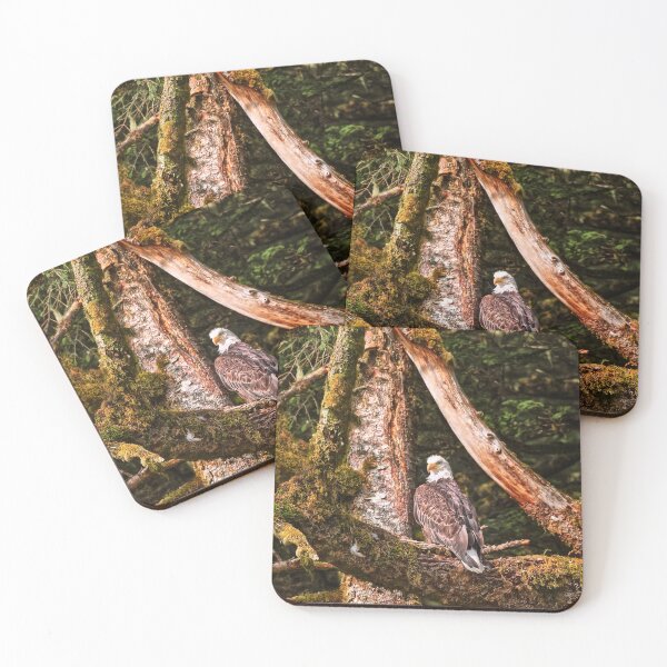 Item preview, Bald Eagle 4. designed and sold by Alex Preiss.