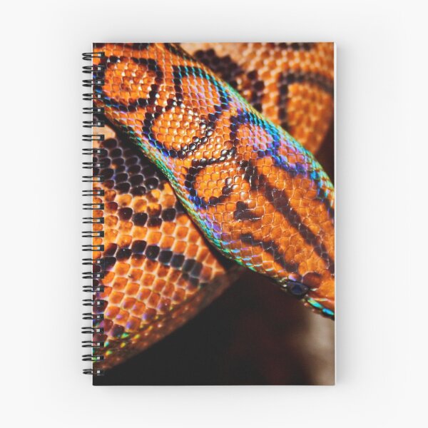 Item preview, Brazillian Rainbow Boa designed and sold by AnnDixon.