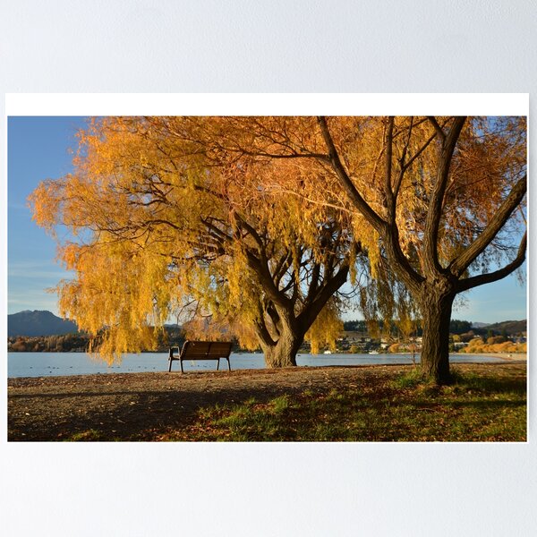 Item preview, Fall trees beside lake designed and sold by Milonk.