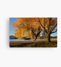 Fall trees beside lake Canvas Print