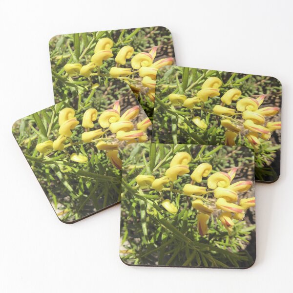 Item preview, Australian Native Grevilleas 'Lemon Daze', Front Garden. designed and sold by RitaBlom.