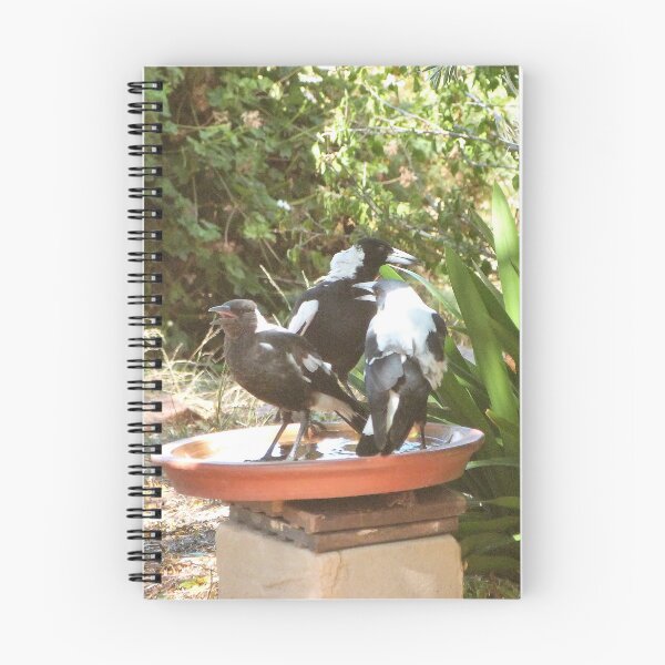 Item preview, HEY STOP ROCKING THE BOAT! Magpie family, 42c heat. designed and sold by RitaBlom.