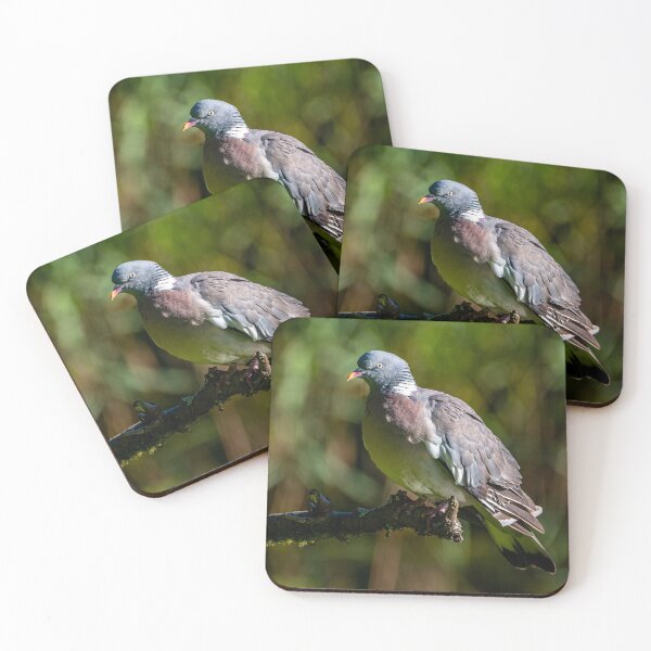 Item preview, Paloma de los bosques designed and sold by iCimages.net.