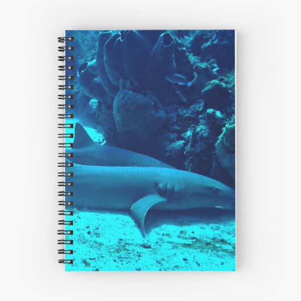 Item preview, Nurse Sharks designed and sold by Amy McDaniel.