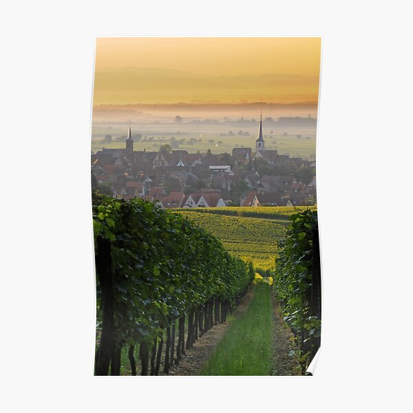 Village de Mittelbergheim 2 Poster