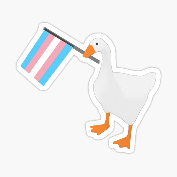 what u got there trans pride buddo Sticker