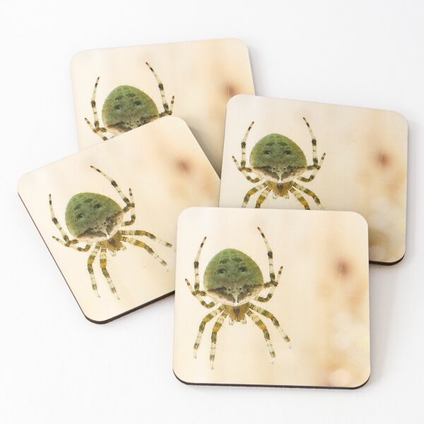 Item preview, Cat Face Spider designed and sold by JRRouse.