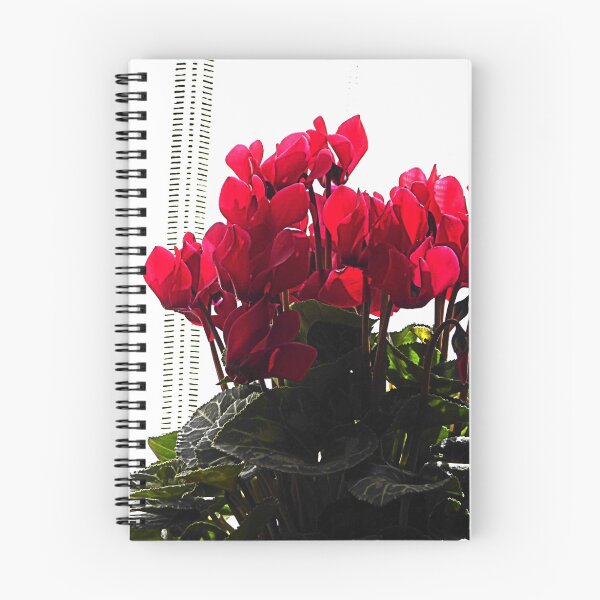 Item preview, Cyclamen. designed and sold by Paul Pasco.