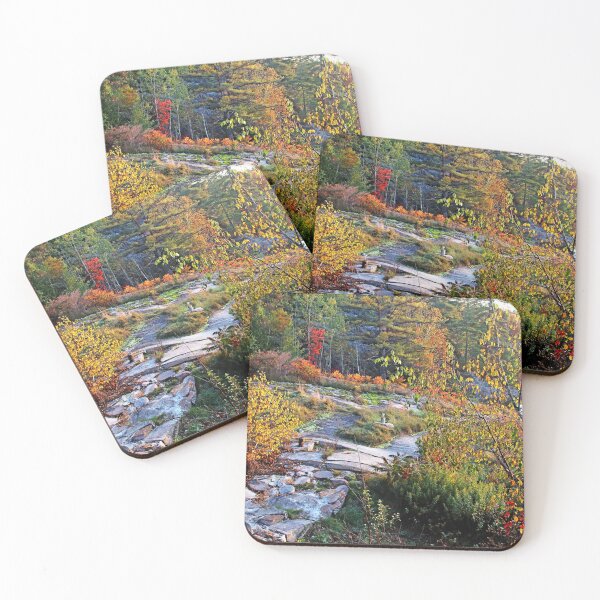 Item preview, Rocky Path Through Autumn designed and sold by Deb Oppermann.
