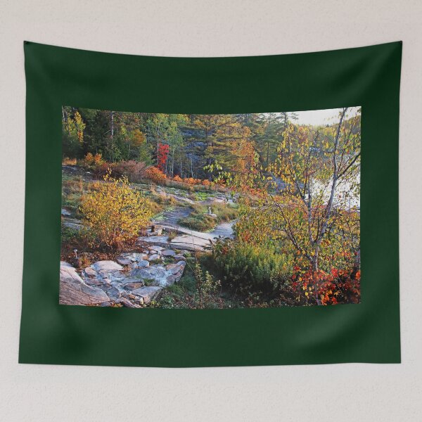 Item preview, Rocky Path Through Autumn designed and sold by Deb Oppermann.