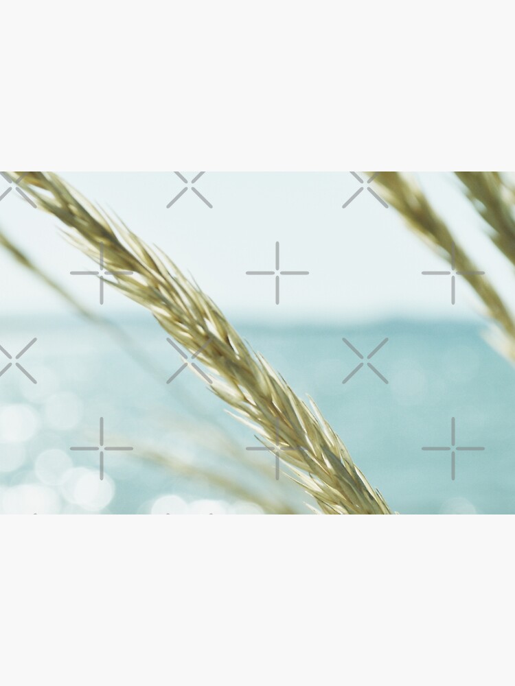 Beach details Coastal plants by by-jwp