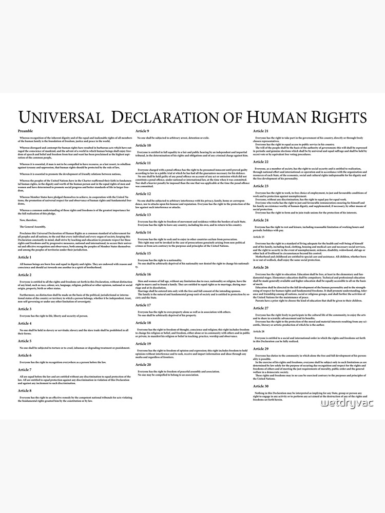 Universal Declaration of Human Rights by wetdryvac