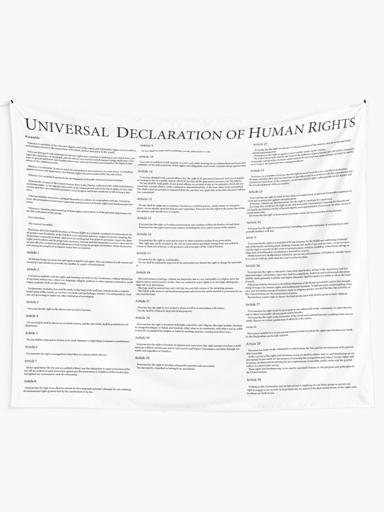 Alternate view of Universal Declaration of Human Rights Tapestry