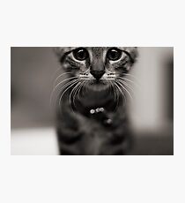 Zaphod Photographic Print
