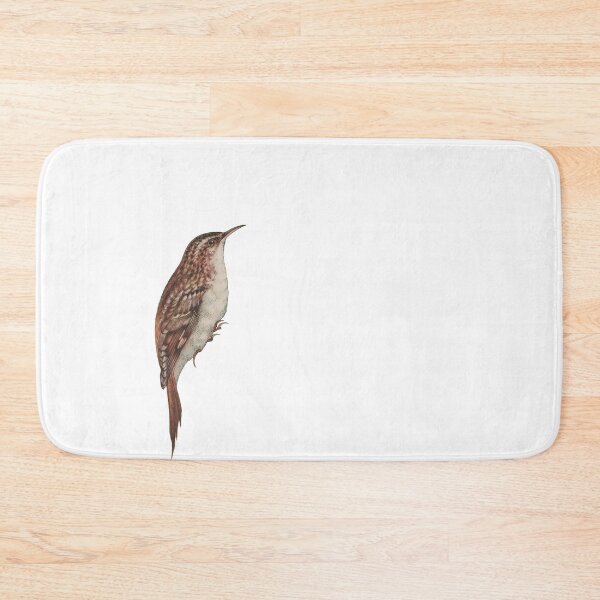 Item preview, Bird Art - Eurasian Treecreeper - Vintage bird print designed and sold by Studio66Designs.