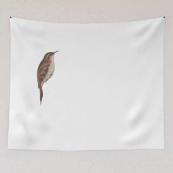 Item preview, Bird Art - Eurasian Treecreeper - Vintage bird print designed and sold by Studio66Designs.