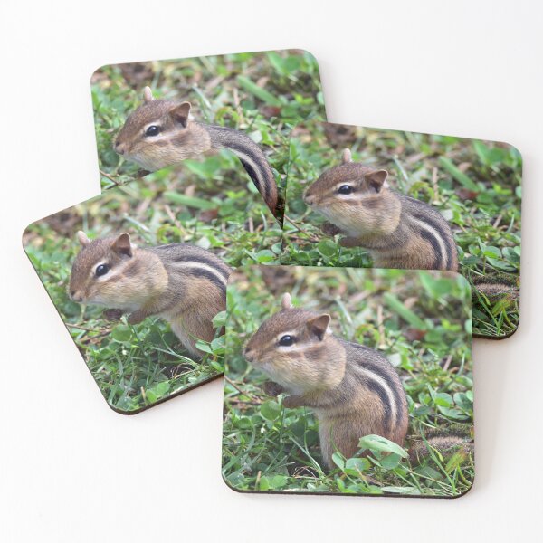Item preview, Chipmunk "Cheeks" designed and sold by Maureen Zaharie.