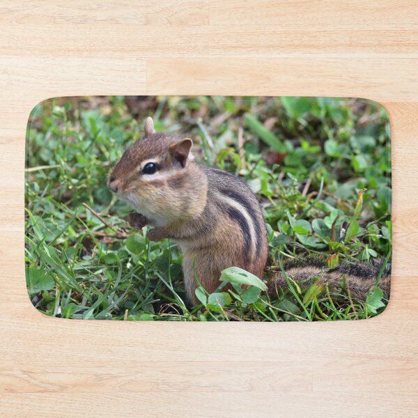 Item preview, Chipmunk "Cheeks" designed and sold by Maureen Zaharie.