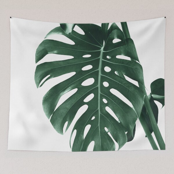 Item preview, Monstera Delight #4 #tropical #decor #art designed and sold by Anita's & Bella's Art.