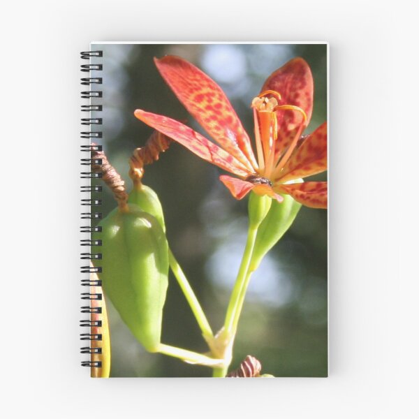 Item preview, Leopard Lily designed and sold by Claude Johnson.