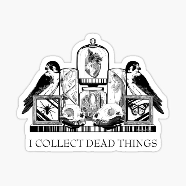 I Collect Dead Things Sticker
